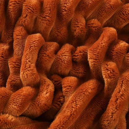 Zento – Comfort that wraps you.